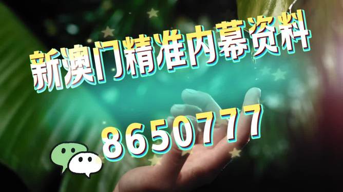 澳門今晚必開一肖一特,探索最佳精準預測之道,澳門今晚生肖一肖一特精準預測探索指南