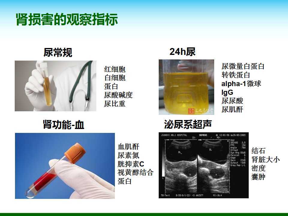 尿酸水平升高與腎臟健康,尿酸460是否意味著腎臟已經(jīng)受損?,尿酸水平升高與腎臟健康關(guān)系解析,尿酸460是否預(yù)示腎臟受損?