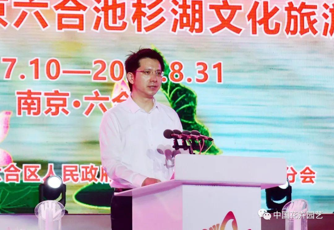 澳門開獎結果澳門六會,探索與解析,澳門開獎結果解析與探索