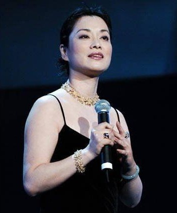 毛阿敏個人資料及年齡詳解,毛阿敏個人資料與年齡揭秘