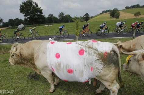 王中王三肖一碼