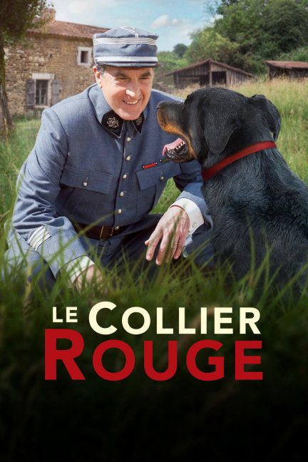 四不像劉伯溫必中一肖