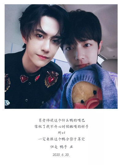 王中王一肖資料一肖王,深度解析與SEO優化文章,王中王一肖資料深度解析與SEO優化策略探討