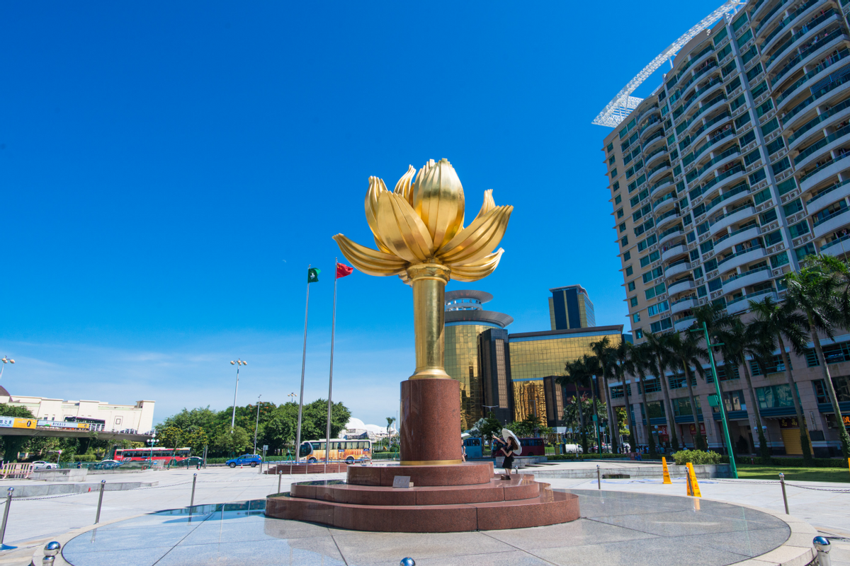 澳門一碼一肖一待一中四不像,探索與解析,澳門一碼一肖一待一中四不像,深度解析與探索