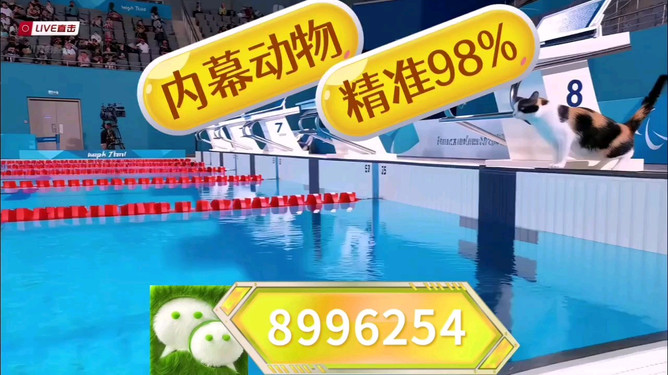 澳門今晚必開一肖,揭秘生肖彩票的魅力與策略,澳門生肖彩票揭秘,必開一肖的魅力與策略指南