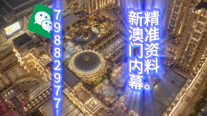 新澳門精準三肖三碼中特,探索澳門博彩文化的獨特魅力,澳門博彩文化獨特魅力探索,精準三肖三碼中特