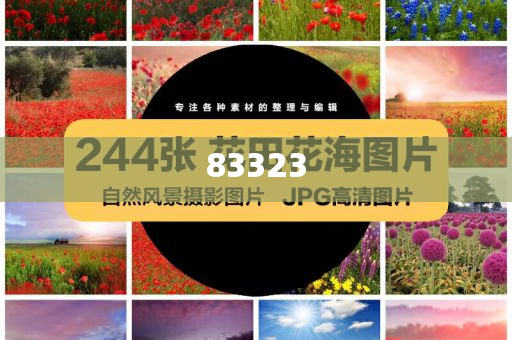 揭秘，2025今晚特馬開獎結(jié)果揭曉，揭秘，2025年今晚特馬開獎結(jié)果大揭秘