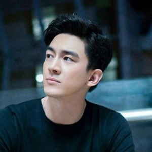 林更新個人簡歷及出演電視劇介紹,林更新個人簡介與出演電視劇概覽