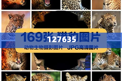 揭秘精準新傳真背后的秘密,探索數字77777與88888的魅力,揭秘精準新傳真背后的秘密,數字77777與88888的魅力探索