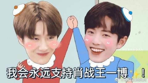 尋找王中王一肖中特,深度解析與探索,深度解析與探索,尋找王中王一肖中特之路