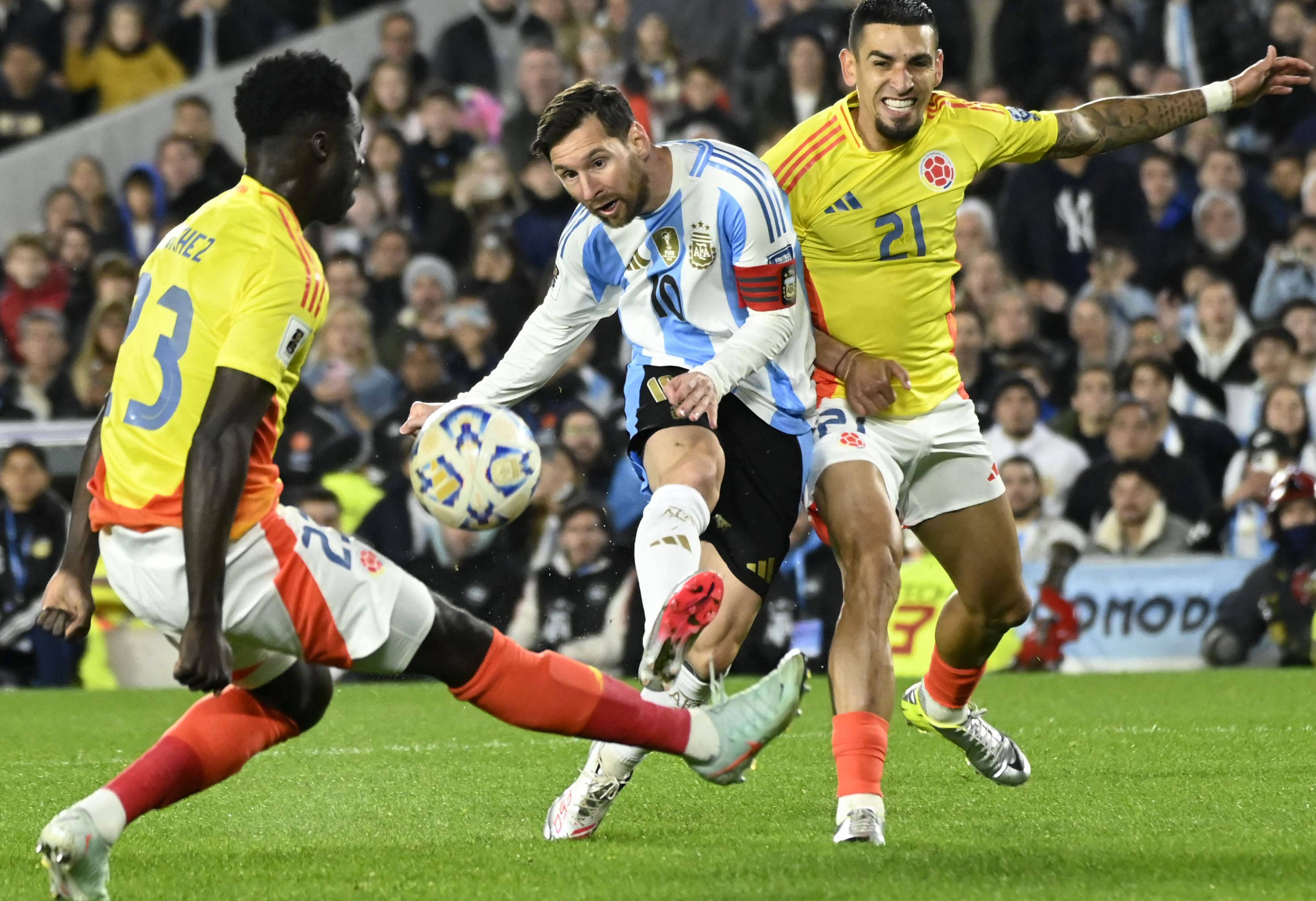 王中王一肖一特一,探尋獨特魅力與卓越成就,探尋王中王一肖的獨特魅力與卓越成就