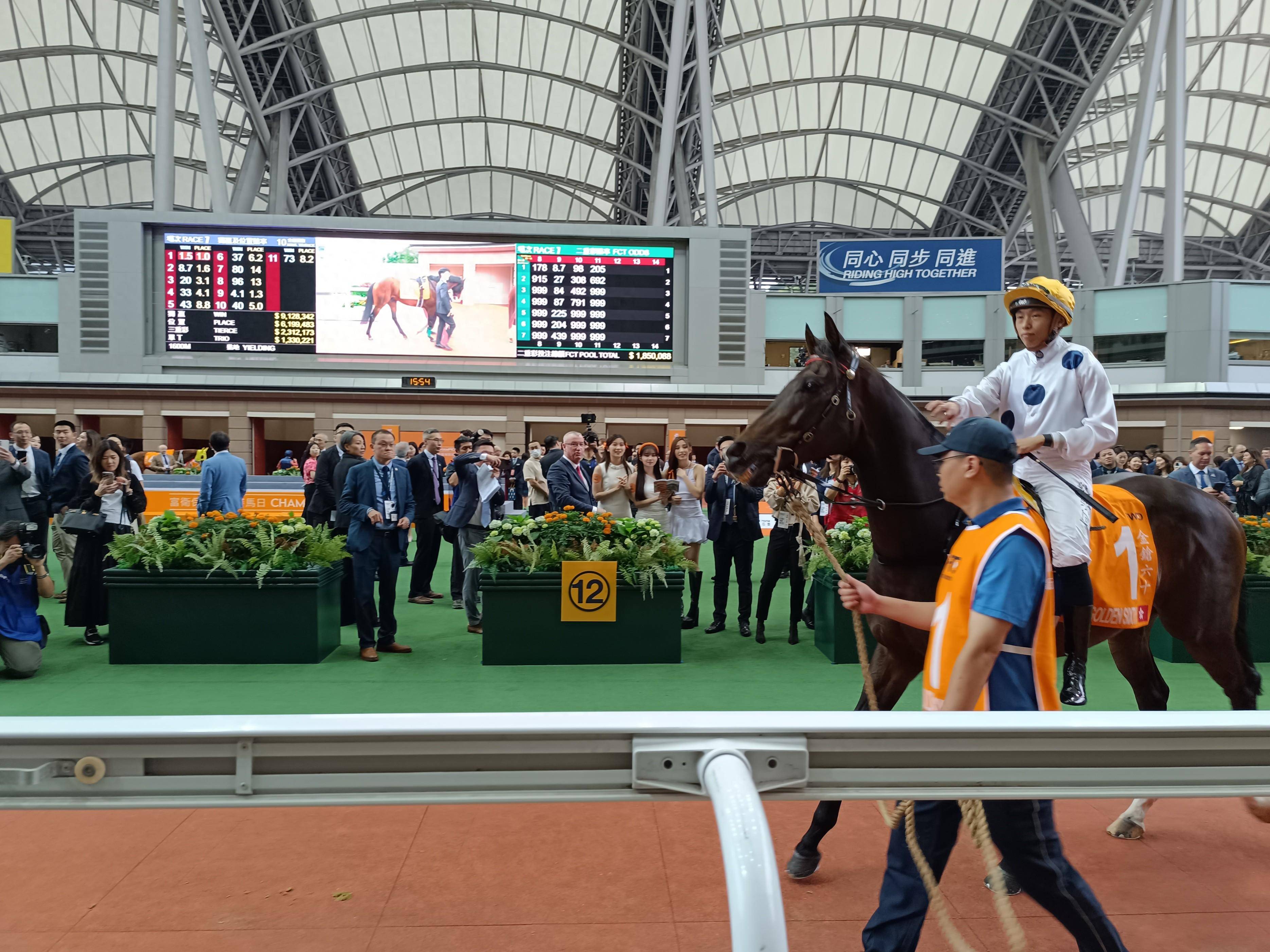 香港王中王一肖中特馬的奧秘與探索,香港王中王一肖中特馬的奧秘探索之旅